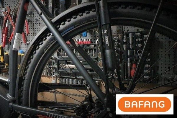 E-Bike Service Bafang