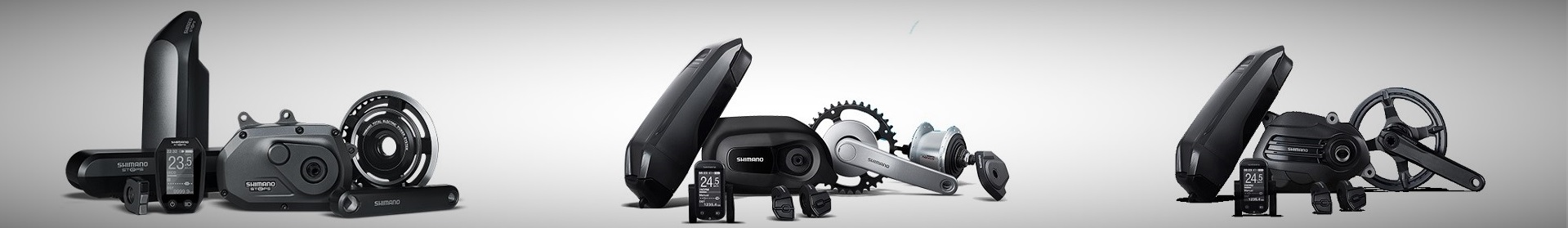 E-Bike Service Shimano